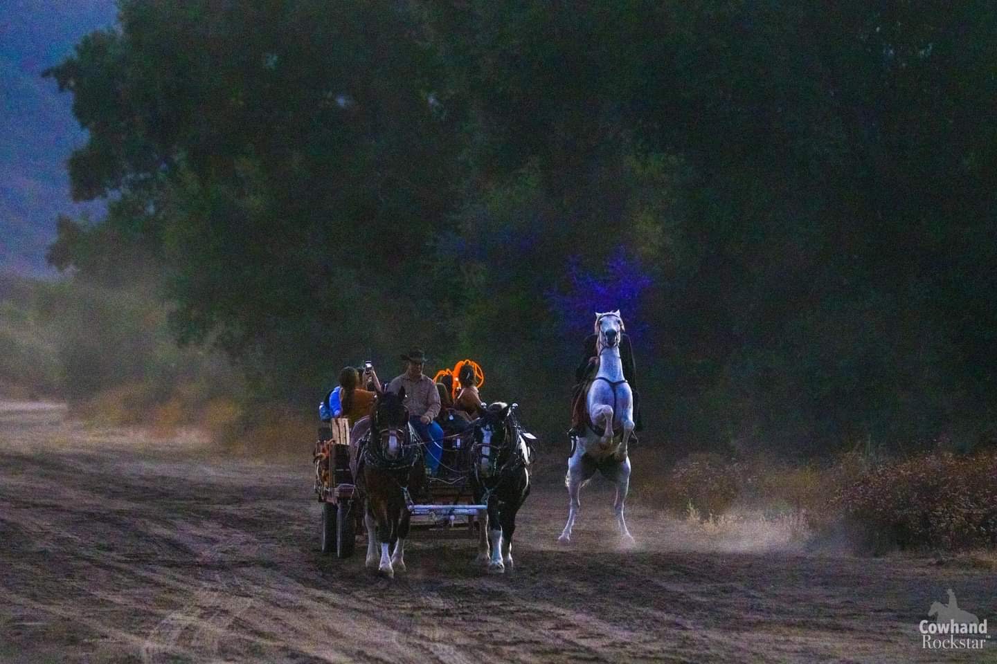 Horses And Carriage