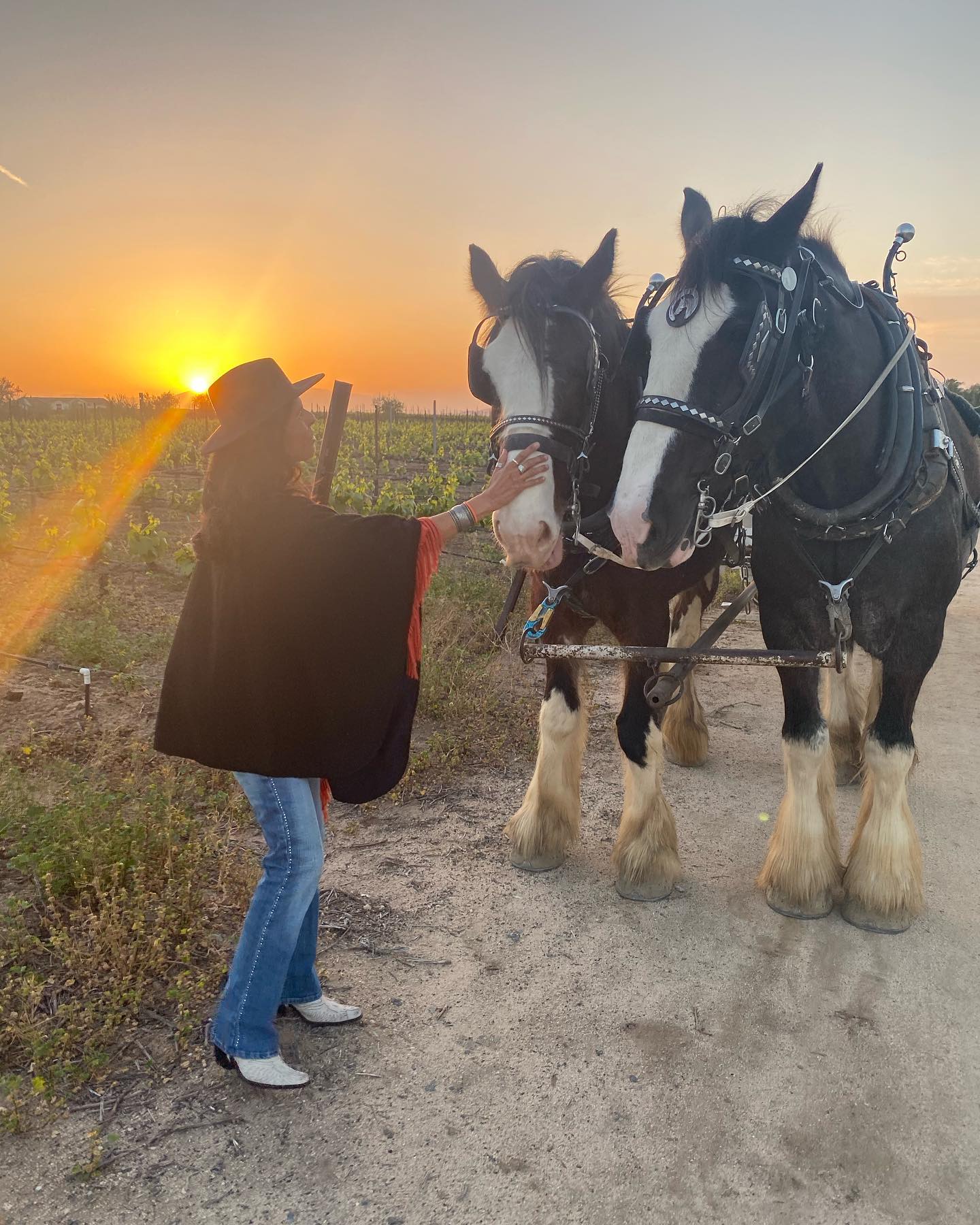Woman With Two Horses