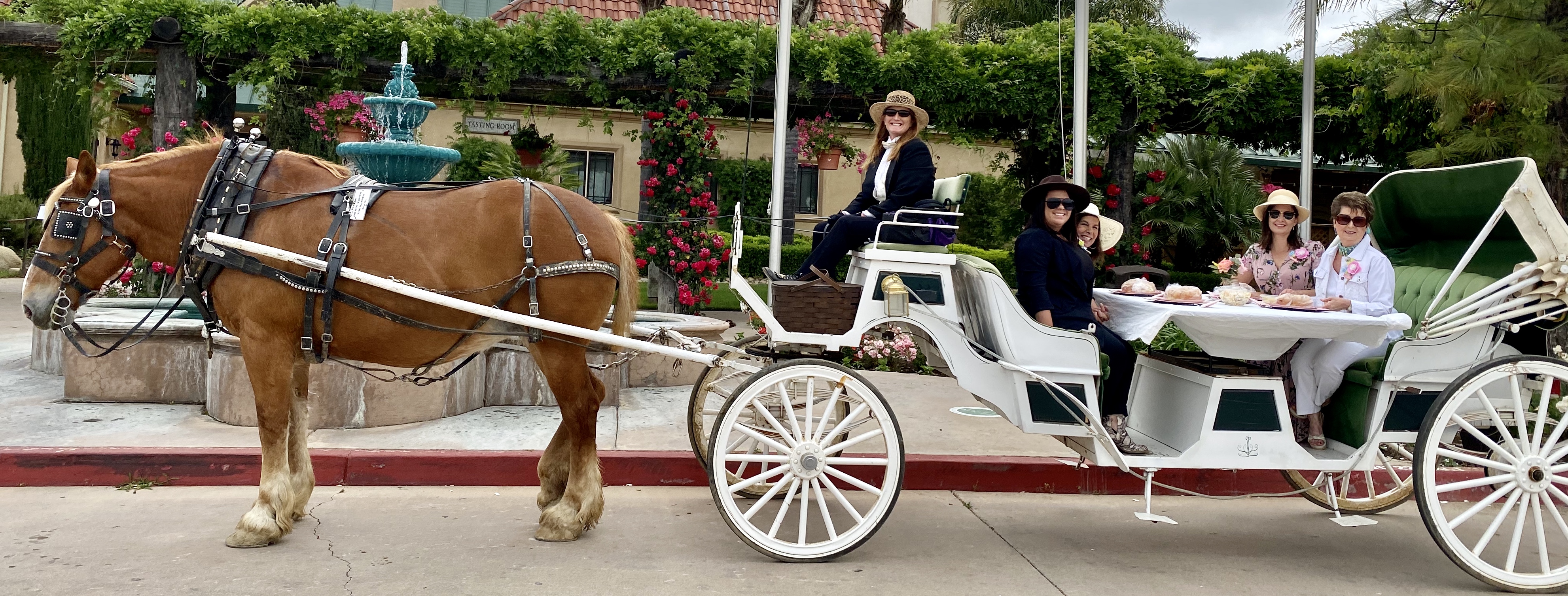Women in a Carriage