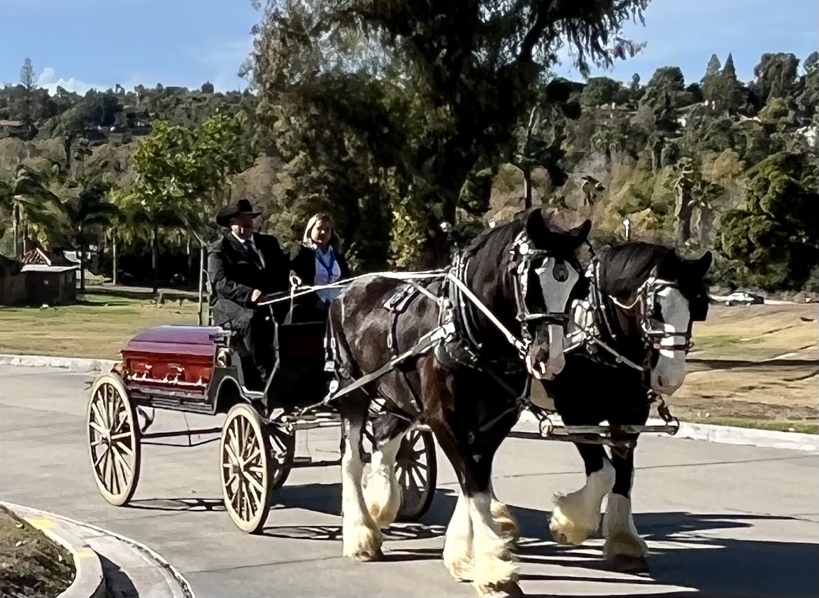Big Horse Carriage