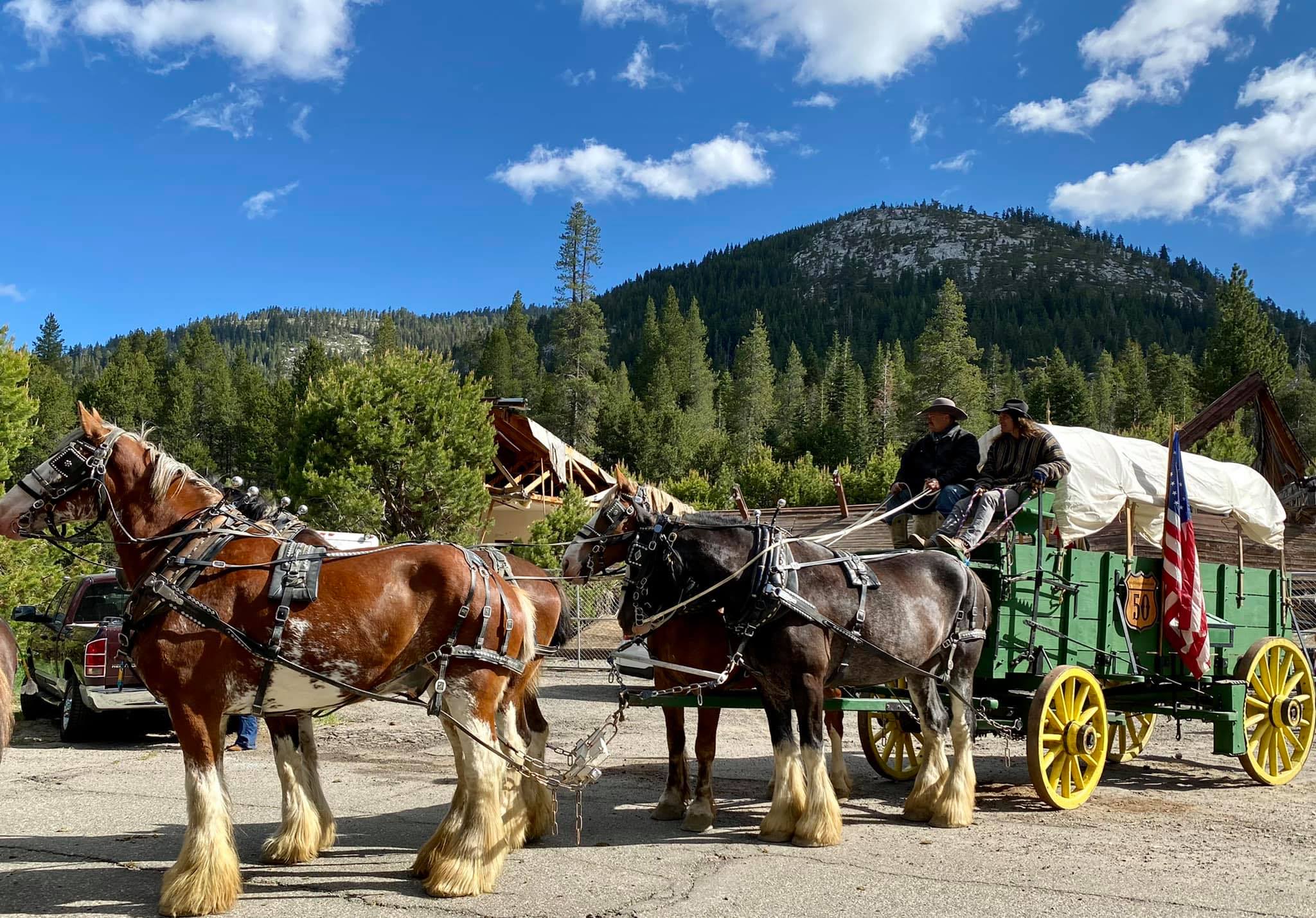 Four Horses