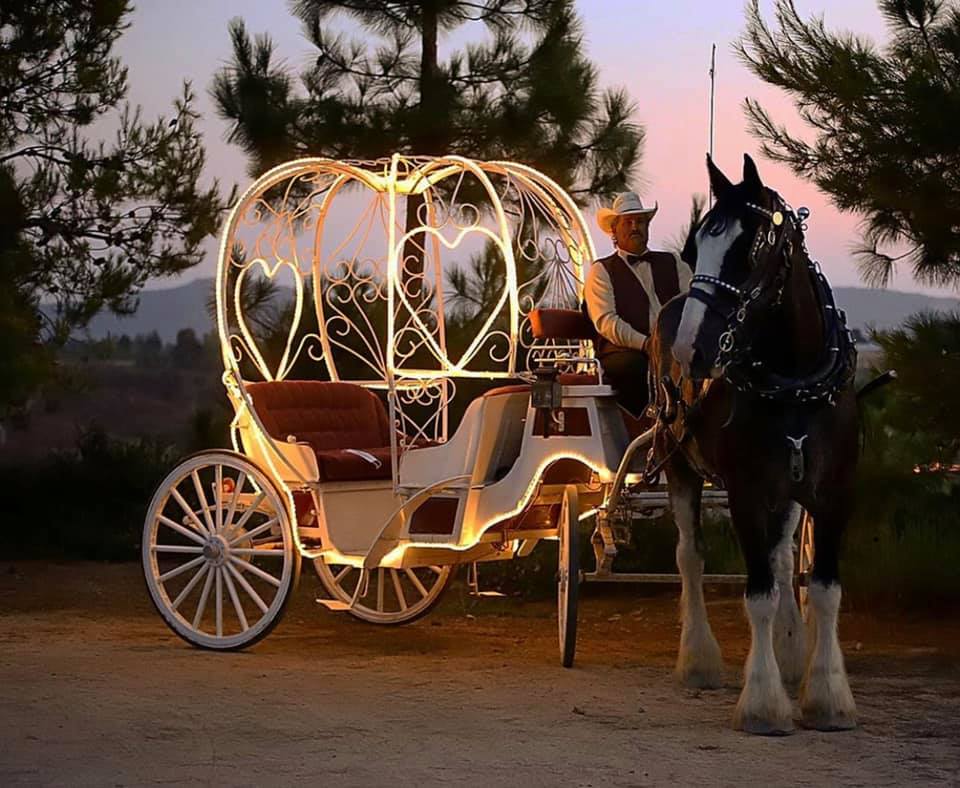 Heart Shaped Carriage