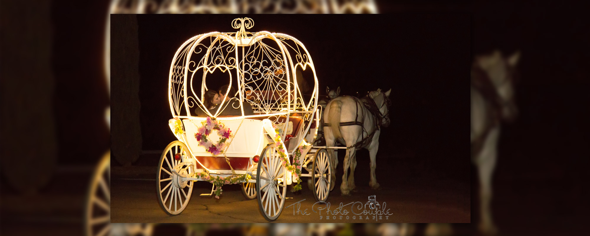Home - Horse Drawn Carriage Company