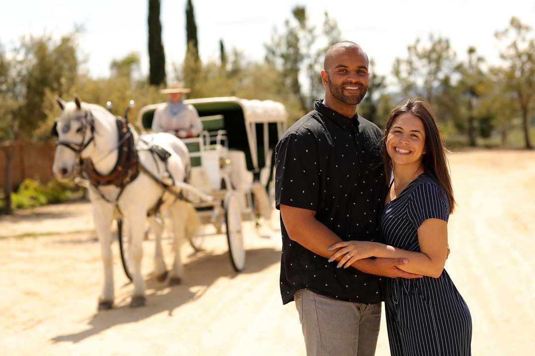 horse and carriage